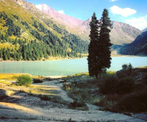 ��� ������ ����������.