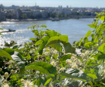 ��������� ������