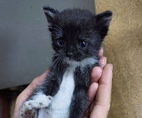 ���� ������ �� ������