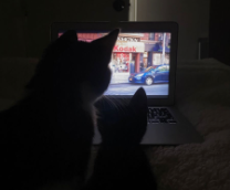 �������