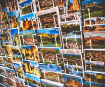 �� ���� ���������