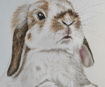 ����� �������� ������������