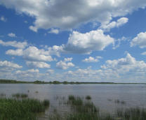 ������� � �� ����...