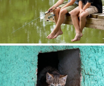 ������ ��� ���������