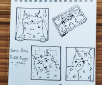 ����-�����