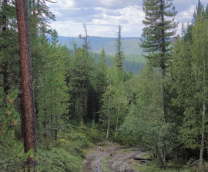 ����� � ������ � �����)