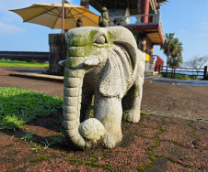 ���������� �����. ������ � �����������