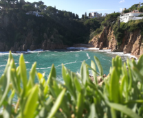 ����� - �����, ��� � ������ ���������.