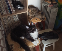 ������ � ��������