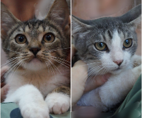 �������� ������ � ����. ������������ � ������ ����