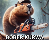 ������� �������� ����������