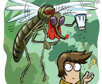 ������ � �������� ���������� ������� ������������ 