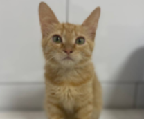 ������� �� �������� ���������