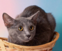 ������ �� ���������� 