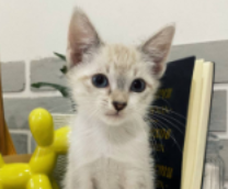 ������ �� ��������