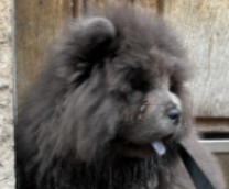 ����� ������� �����������������