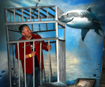 ������� �����������