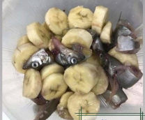 �������� ���