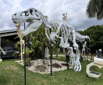 ������ �� ���������.