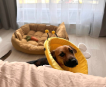 ���������� �� ������� ��� 