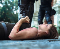 �������: ���� ����� / ������������ ���� / ������