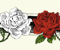 ����� ���� � ����� ����.