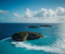 ���������� | ���������