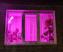 �������-�������