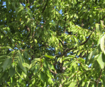 ���-������