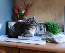 ��� �� ����� ���