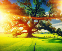 ������ (��������)