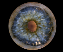 ���������������