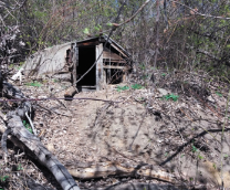 ����������� 2056��� 