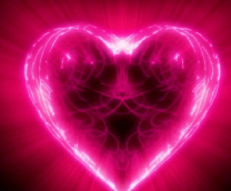 ���� �������, ����, ������ �������