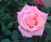 ���� �������: ����� ��� ������