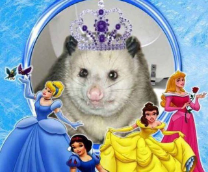 ������������