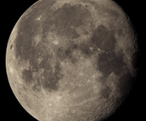 ������������ ����