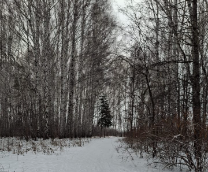 ���� ��. �������� �.�.