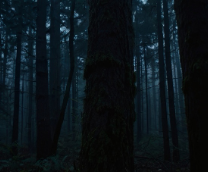 ��� ���� - ���������� �����. 