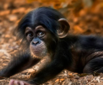 ���������� �������� � �����