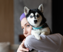 ����������� ��� ���