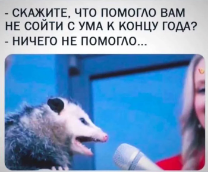 �� ���� ��������