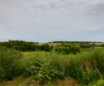 ������ ����� �������