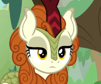 �� ������ ������ ����������� 