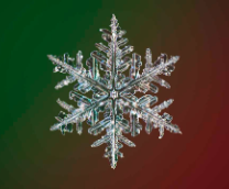 ������� ����