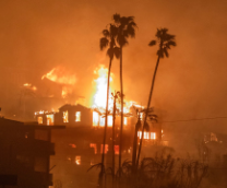 ����� � ����������