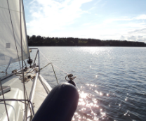 ������� ���������������