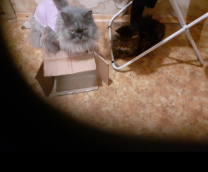 ��� �� ��� ������