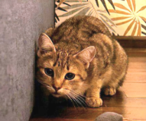 ����� � ������� ����. �����-���������-2025