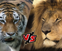 ������ vs. ����